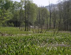 Image00021