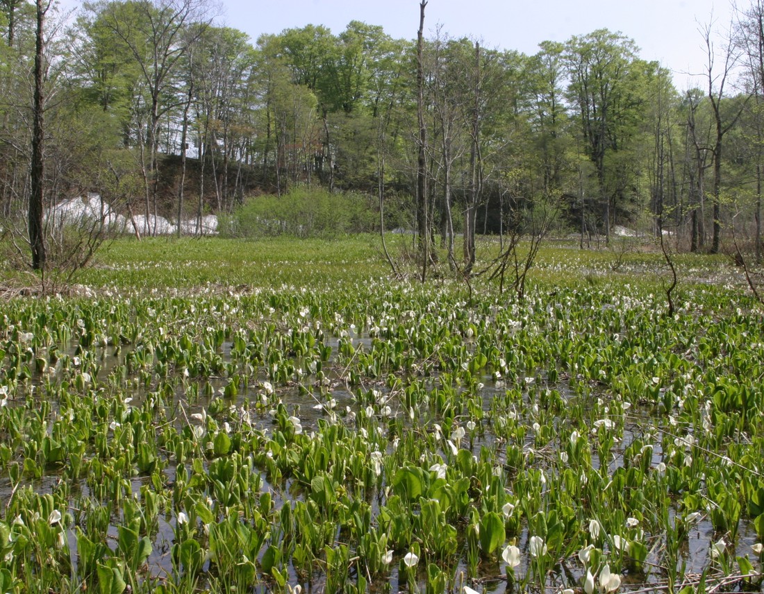 Image00022