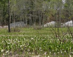 Image00023