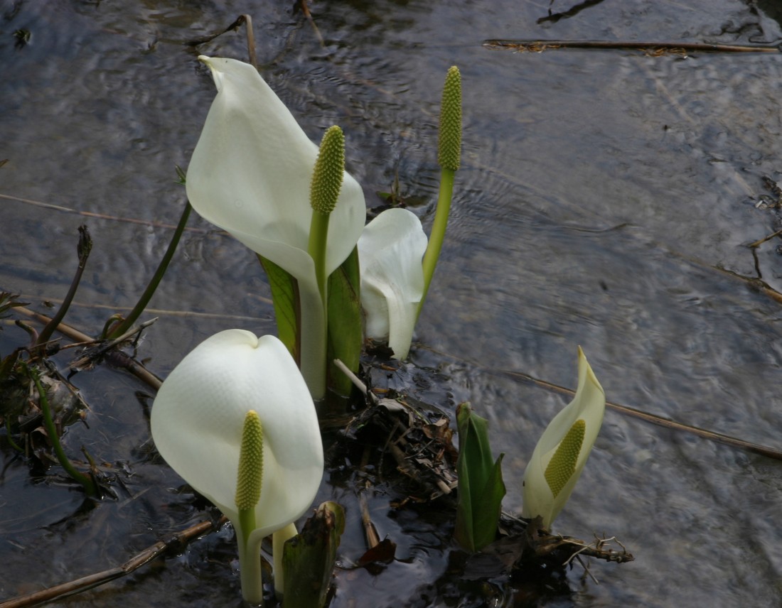 Image00024