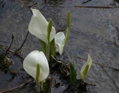 Image00024