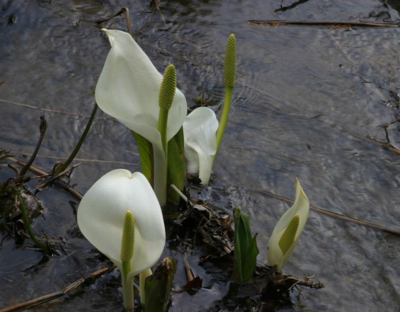 Image00024