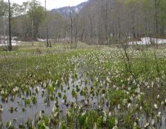 Image00045