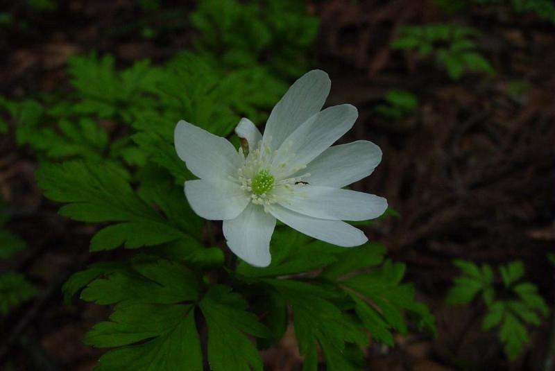 Image00002