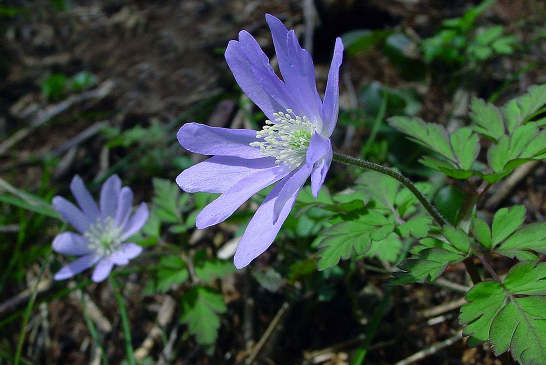 Image00003