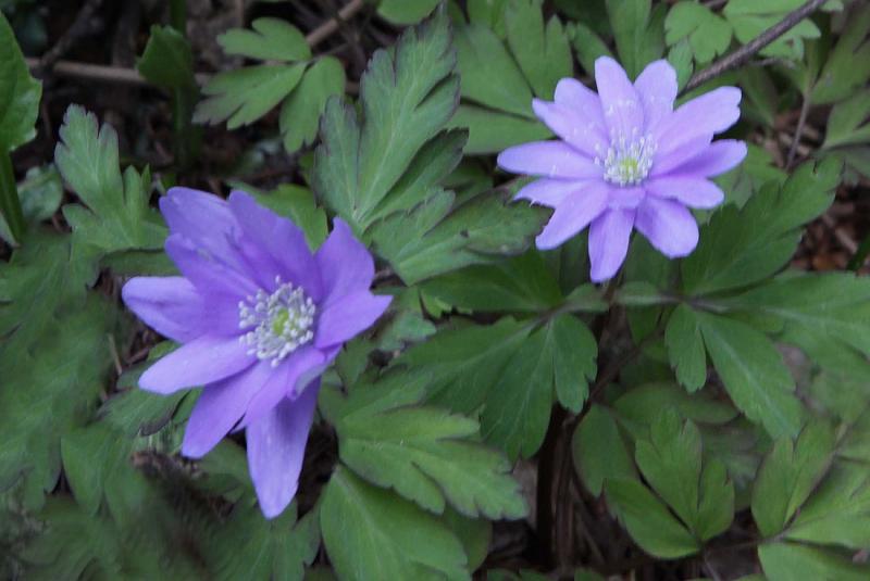 Image00004