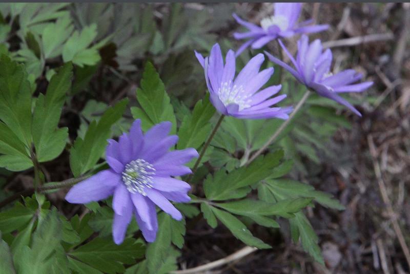 Image00006