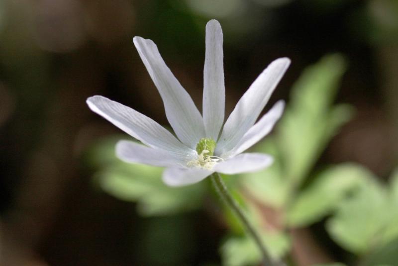 Image00012