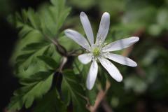 Image00014