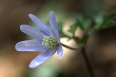 Image00019