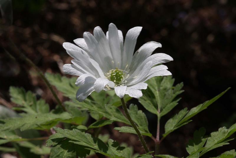 Image00022