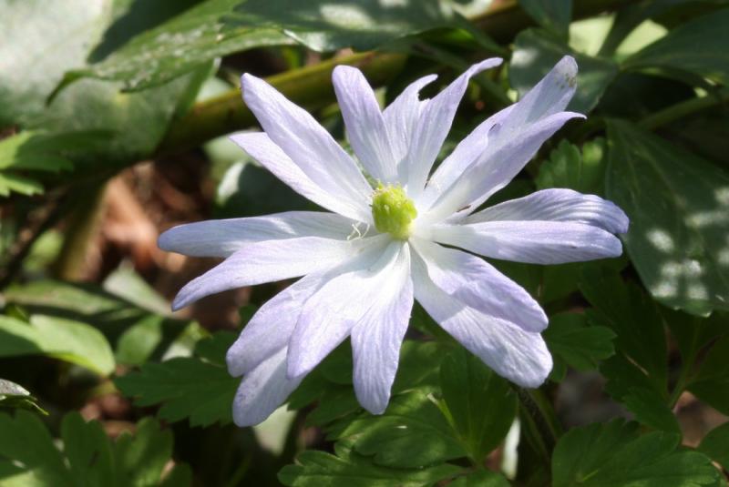 Image00028