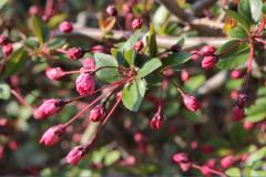 IMG_4250wb