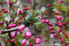 IMG_9635wb