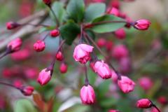 IMG_9639wb