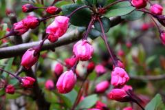 IMG_9646wb