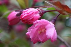 IMG_9660wb