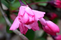 IMG_9672wb