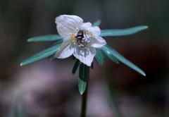 IMG_5738wb