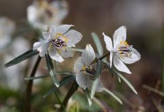 IMG_5864wb