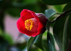 IMG_5280wb