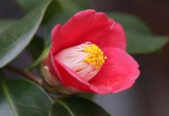 IMG_2874wb