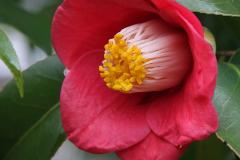 IMG_3144wb