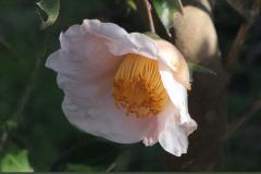 IMG_3333wb