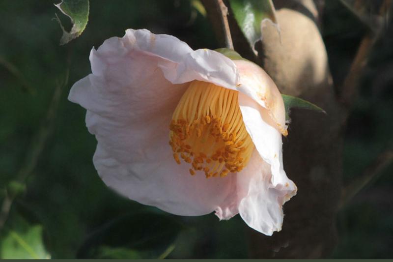 IMG_3333wb