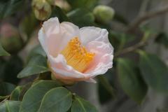 IMG_3986wb