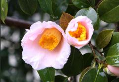 IMG_6132wb