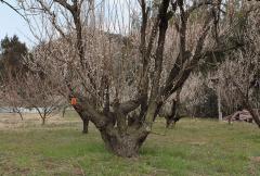IMG_3761wb