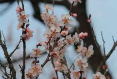 IMG_3763wb