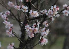 IMG_3764Hwb