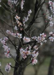 IMG_3764Vwb
