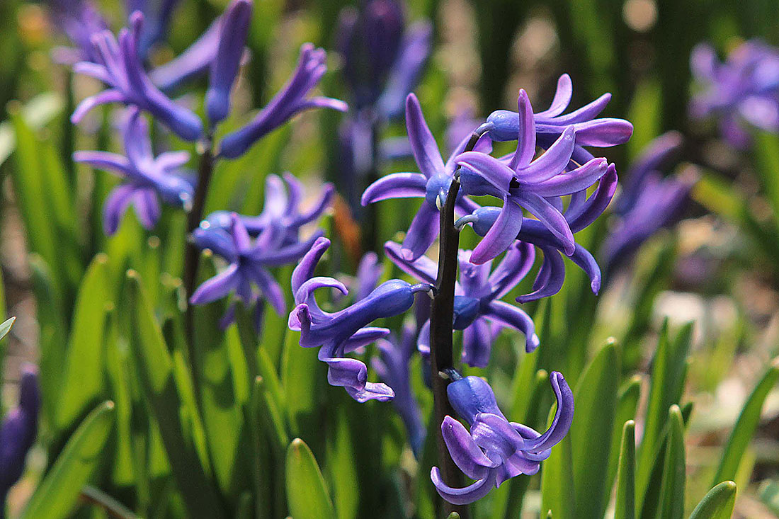 IMG_3949wb