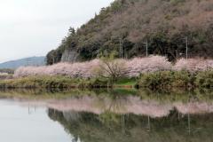 IMG_4406wb