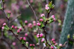 IMG_9657wb