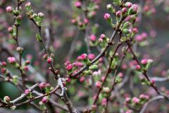 IMG_9658wb