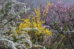 IMG_9737wb