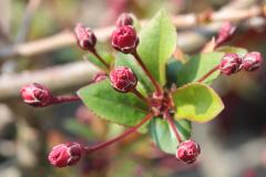 IMG_4130wb