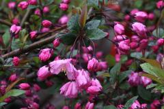 IMG_9738wb
