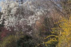 IMG_4264wb