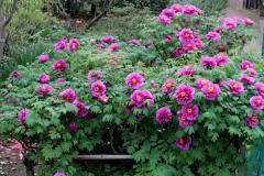 Image00001