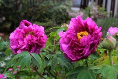 Image00002