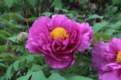 Image00003