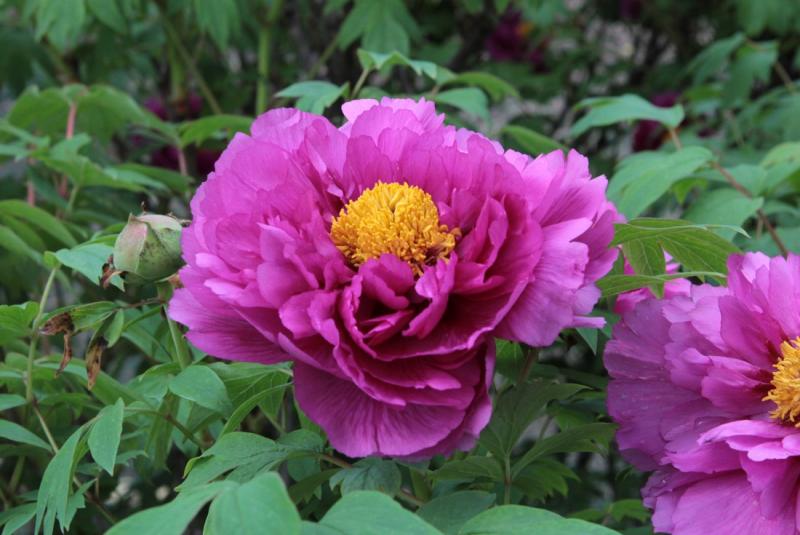 Image00003