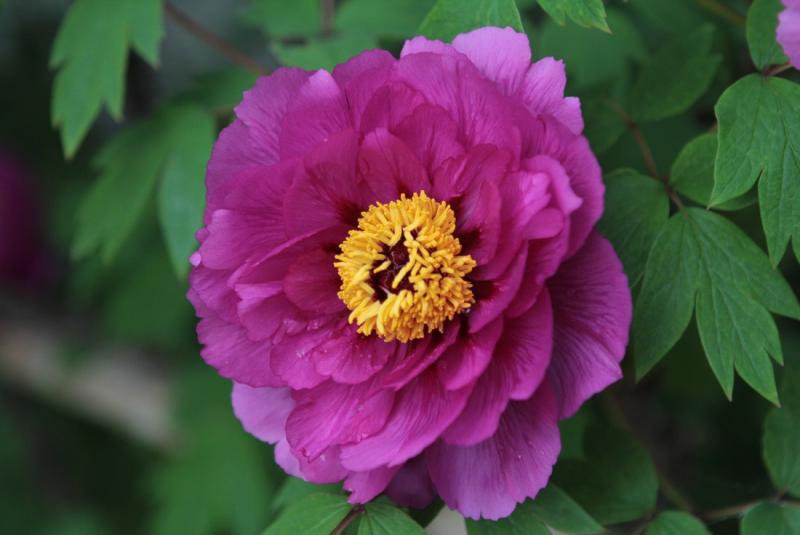 Image00005
