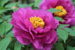 Image00007