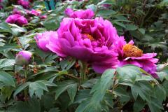 Image00010